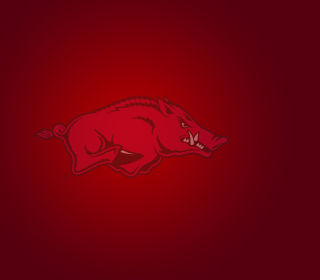 Картинка Arkansas Razorbacks на телефон iPad Air