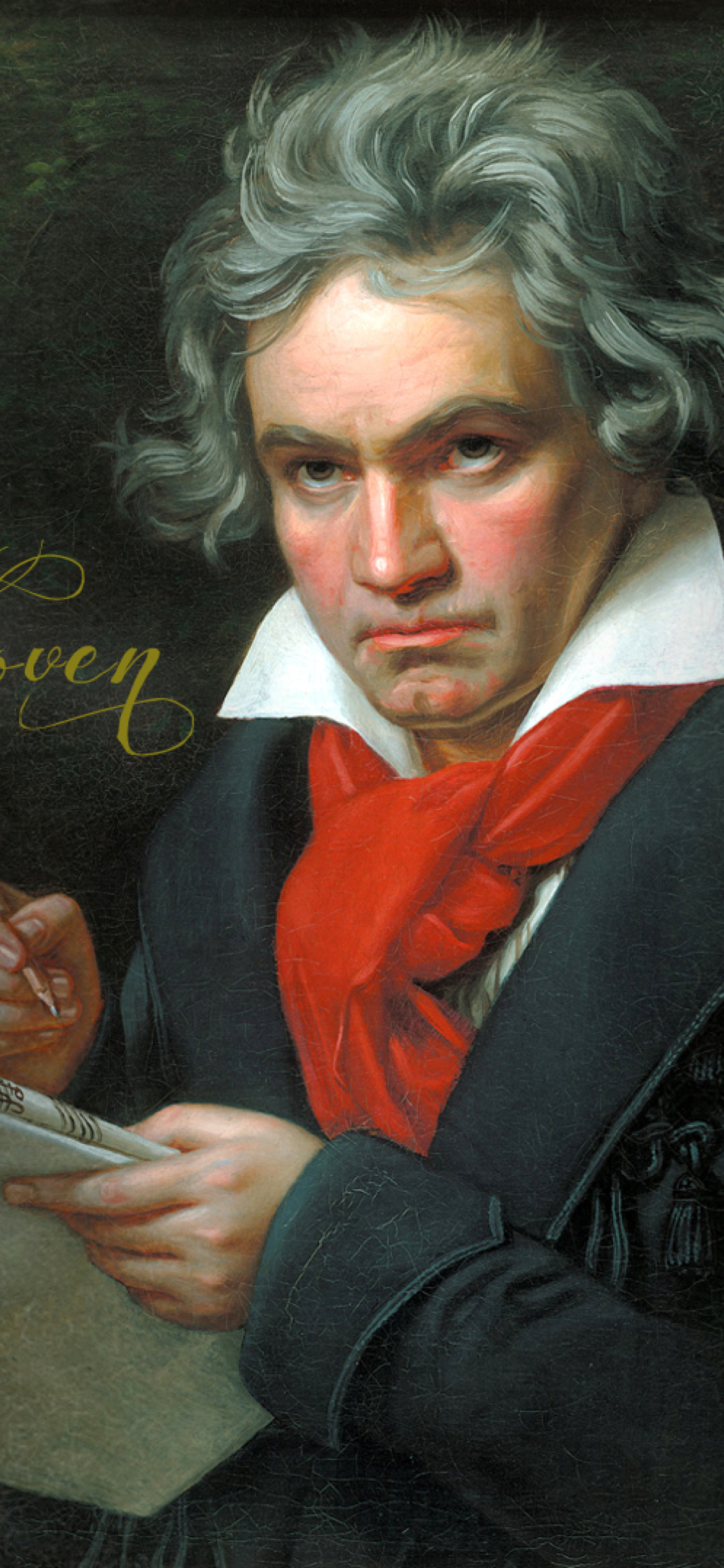 Screenshot №1 pro téma Ludwig Van Beethoven 1170x2532