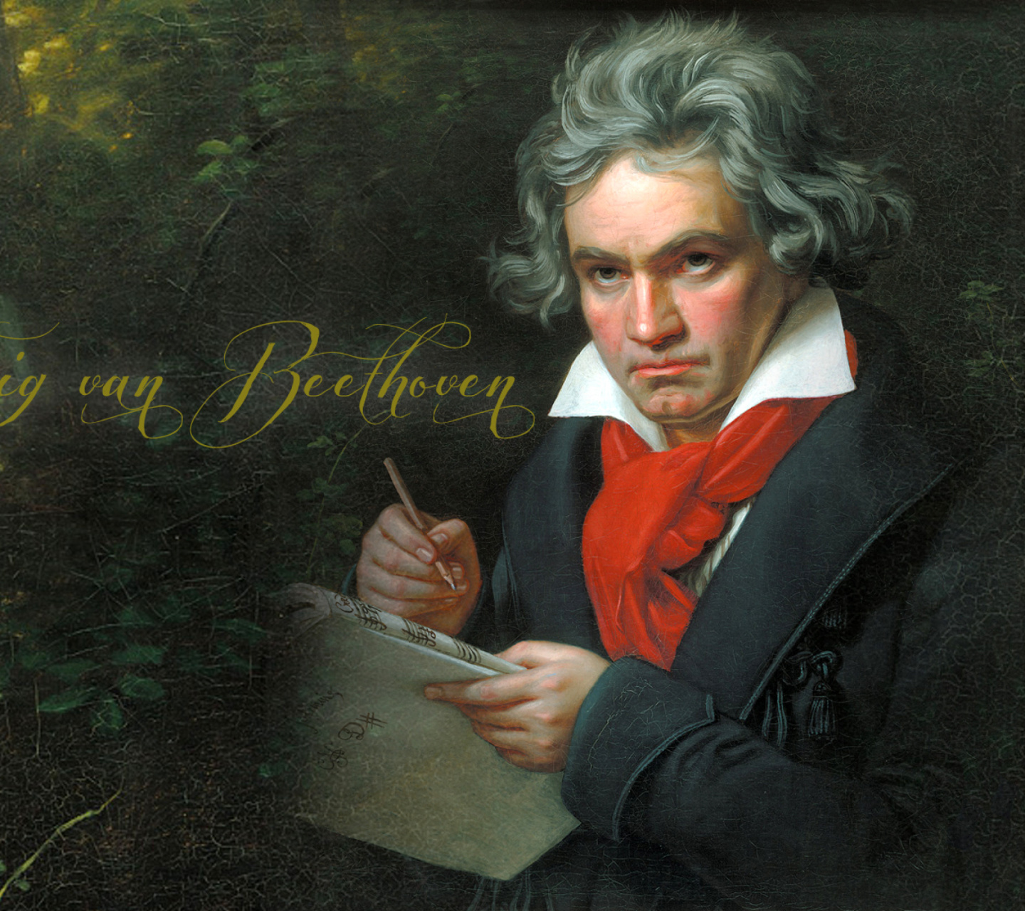 Ludwig Van Beethoven wallpaper 1440x1280
