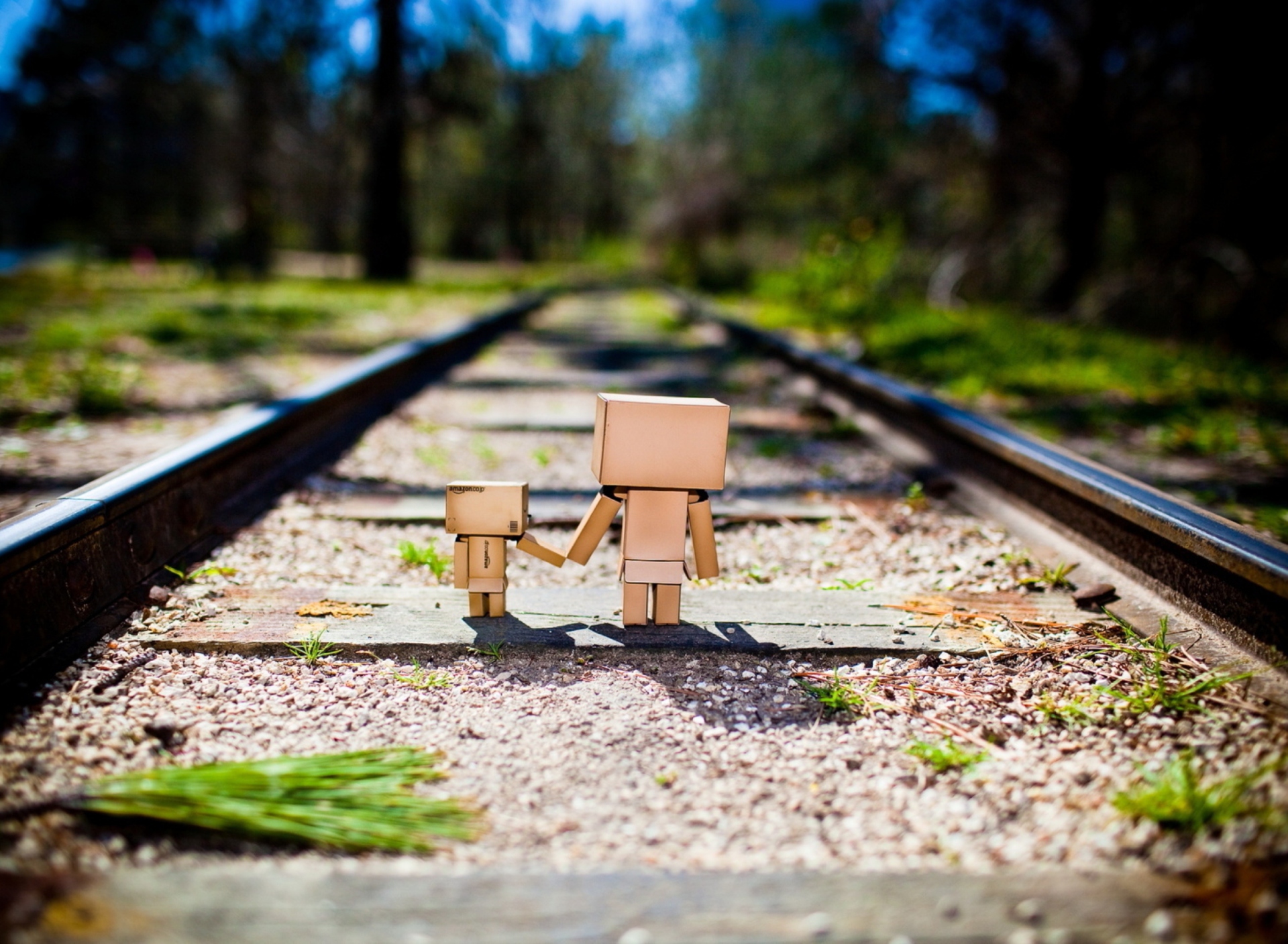 Обои Danbo Family 1920x1408