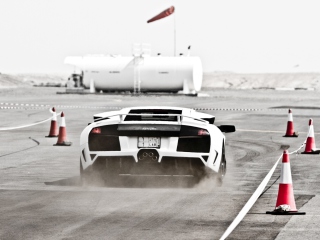 White Lamborghini Murcielago On Track wallpaper 320x240