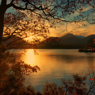 Peaceful Landscape - Fondos de pantalla gratis para 1024x1024