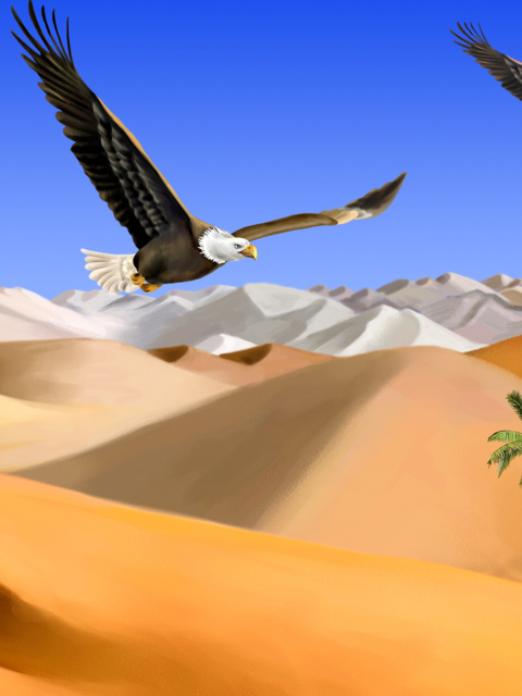 Sfondi Desert Landscape 480x640