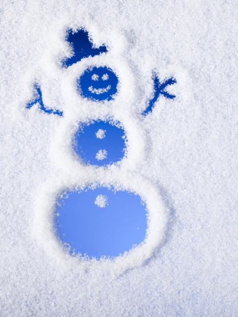 Winter, Snow And Snowman wallpaper 480x640