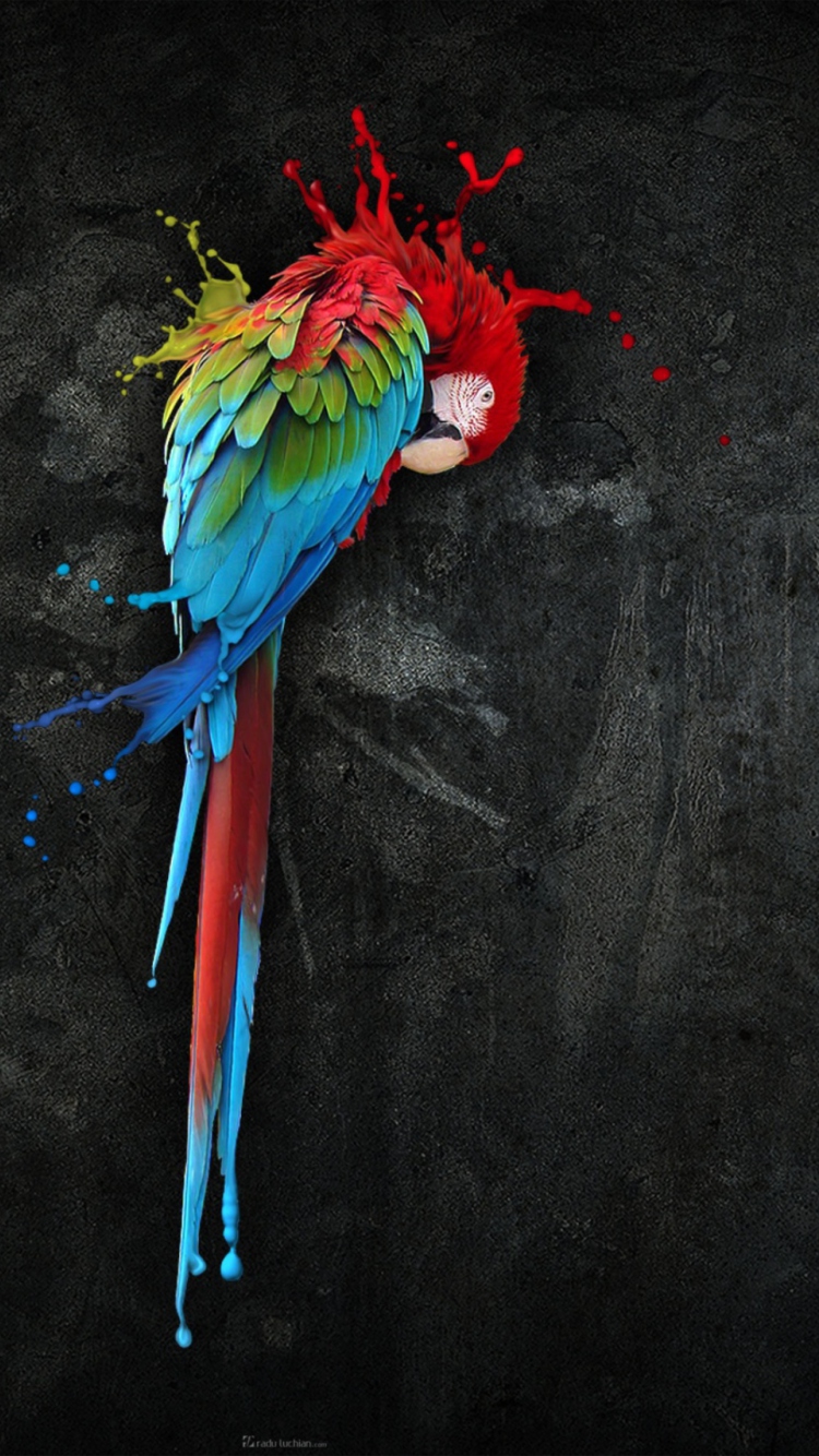 Sfondi Pretty Parrot Splash 750x1334