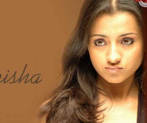 Trisha screenshot #1 480x400