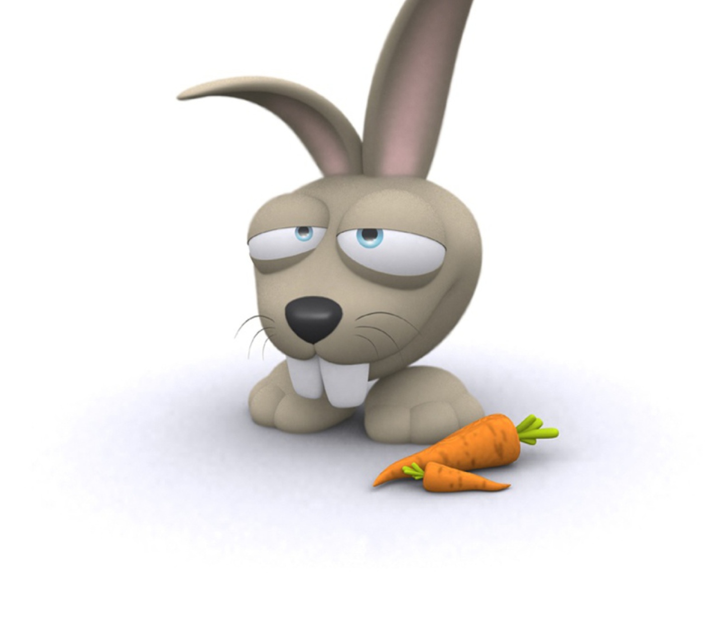 Fondo de pantalla Funny Bunny 1440x1280