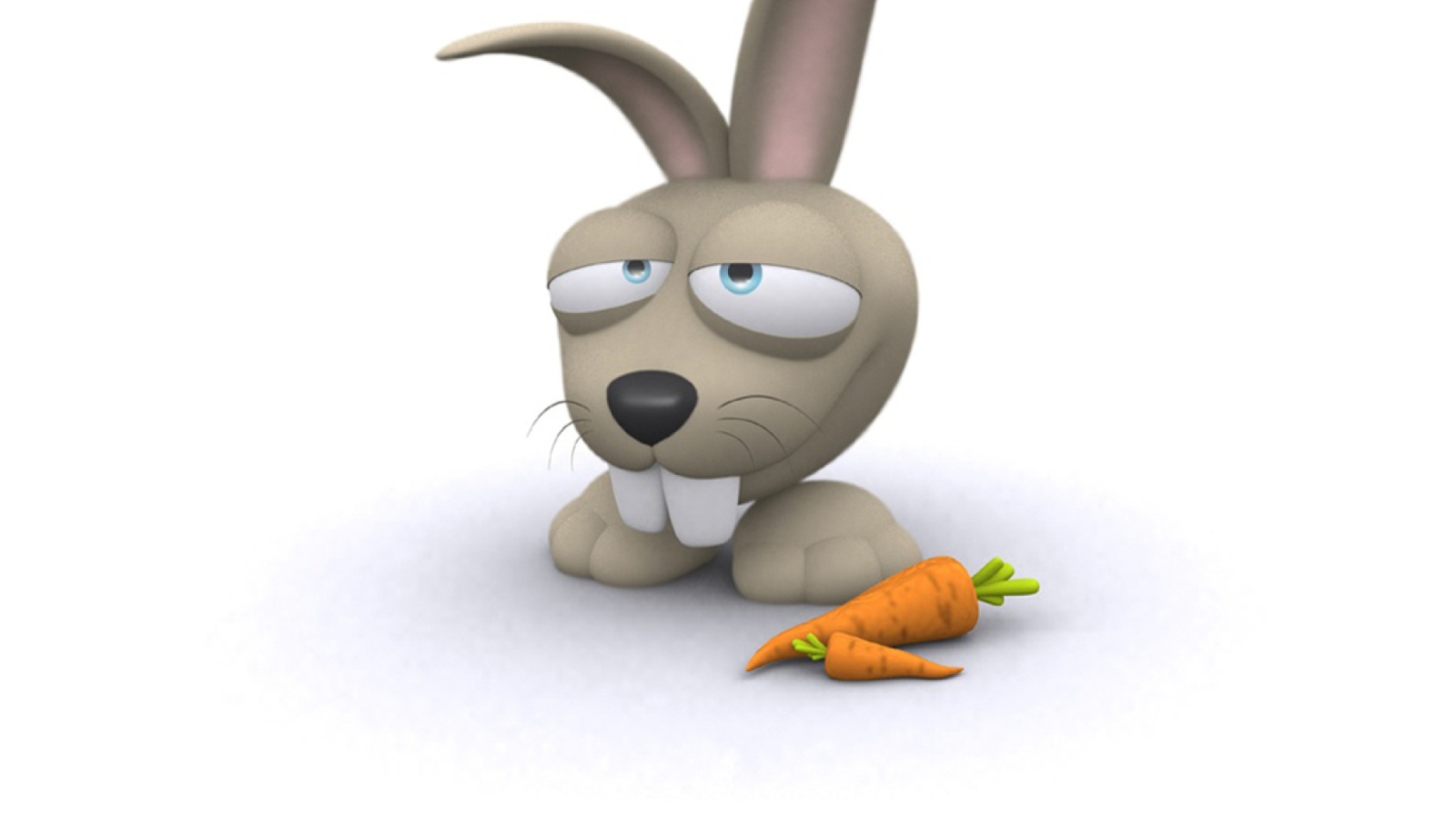 Fondo de pantalla Funny Bunny 1600x900