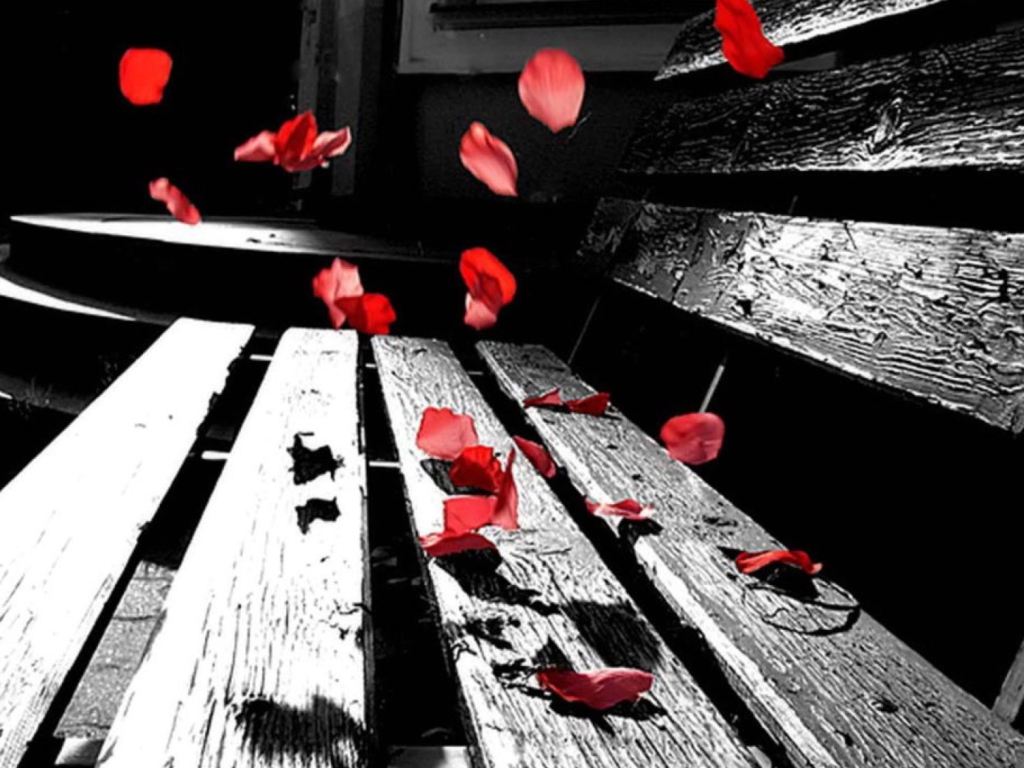 Romantic Red Petals wallpaper 1024x768
