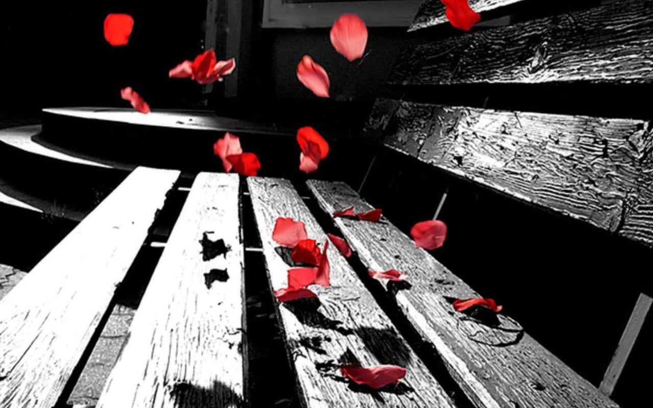 Romantic Red Petals wallpaper 1280x800