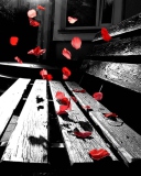Romantic Red Petals wallpaper 128x160