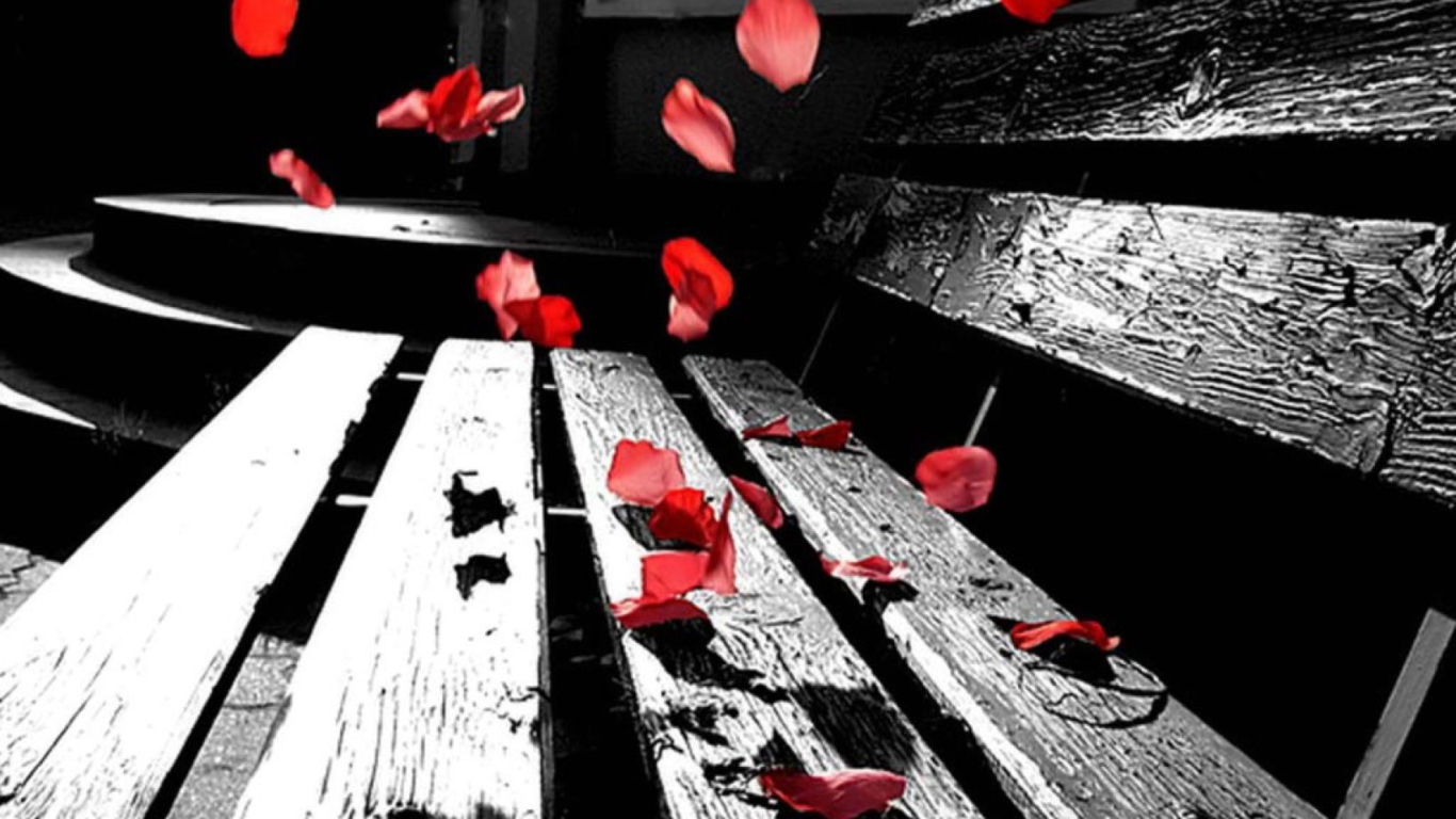 Sfondi Romantic Red Petals 1366x768