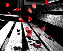 Romantic Red Petals wallpaper 220x176