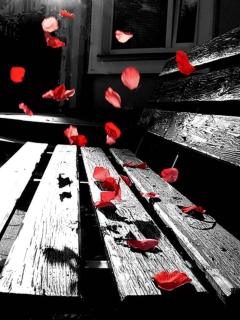 Das Romantic Red Petals Wallpaper 240x320