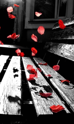 Sfondi Romantic Red Petals 240x400