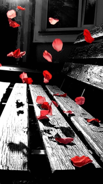 Обои Romantic Red Petals 360x640