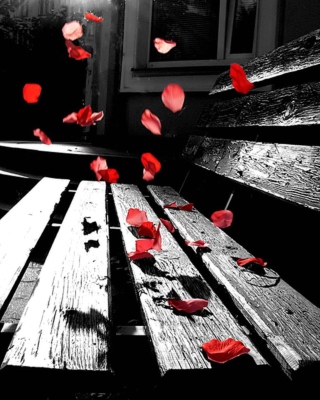 Kostenloses Romantic Red Petals Wallpaper für Nokia 2730 classic