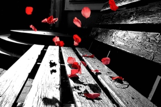 Kostenloses Romantic Red Petals Wallpaper für Android, iPhone und iPad