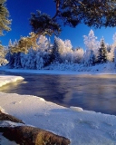 Christmas Landscape wallpaper 128x160