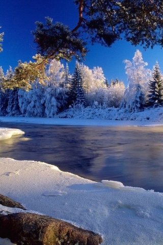 Christmas Landscape wallpaper 320x480