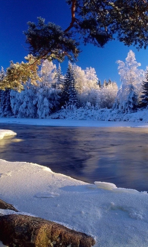 Обои Christmas Landscape 480x800