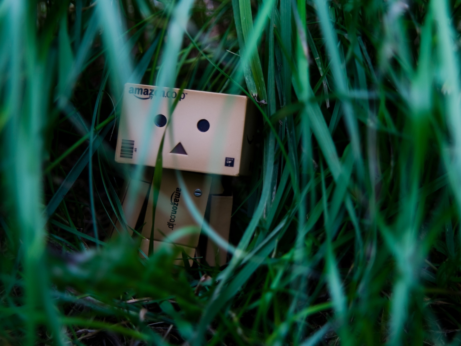 Das Danbo In Jungle Wallpaper 1600x1200