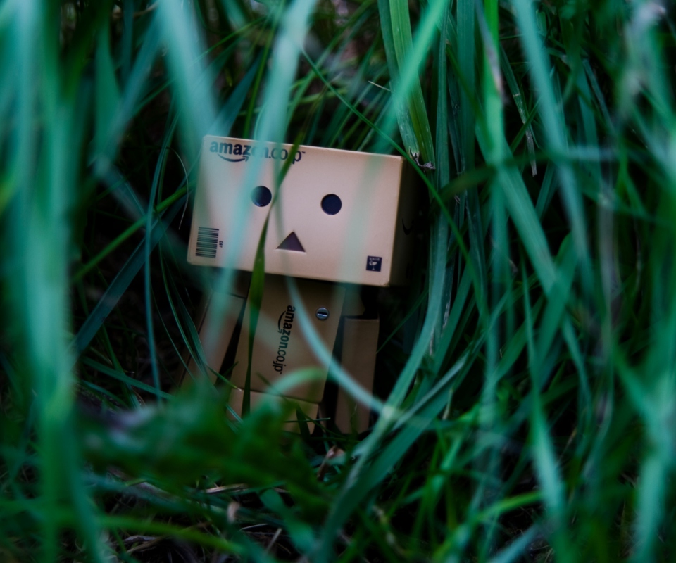 Das Danbo In Jungle Wallpaper 960x800