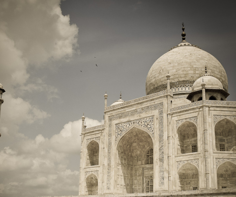 Taj Mahal wallpaper 480x400