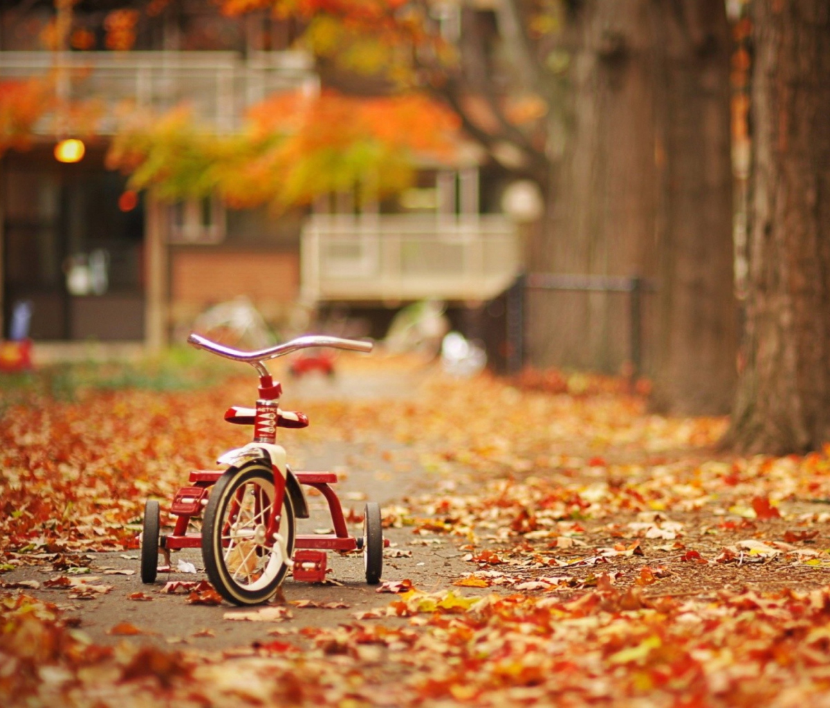 Tricycle wallpaper 1200x1024