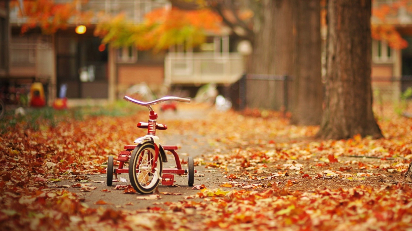 Tricycle wallpaper 1366x768