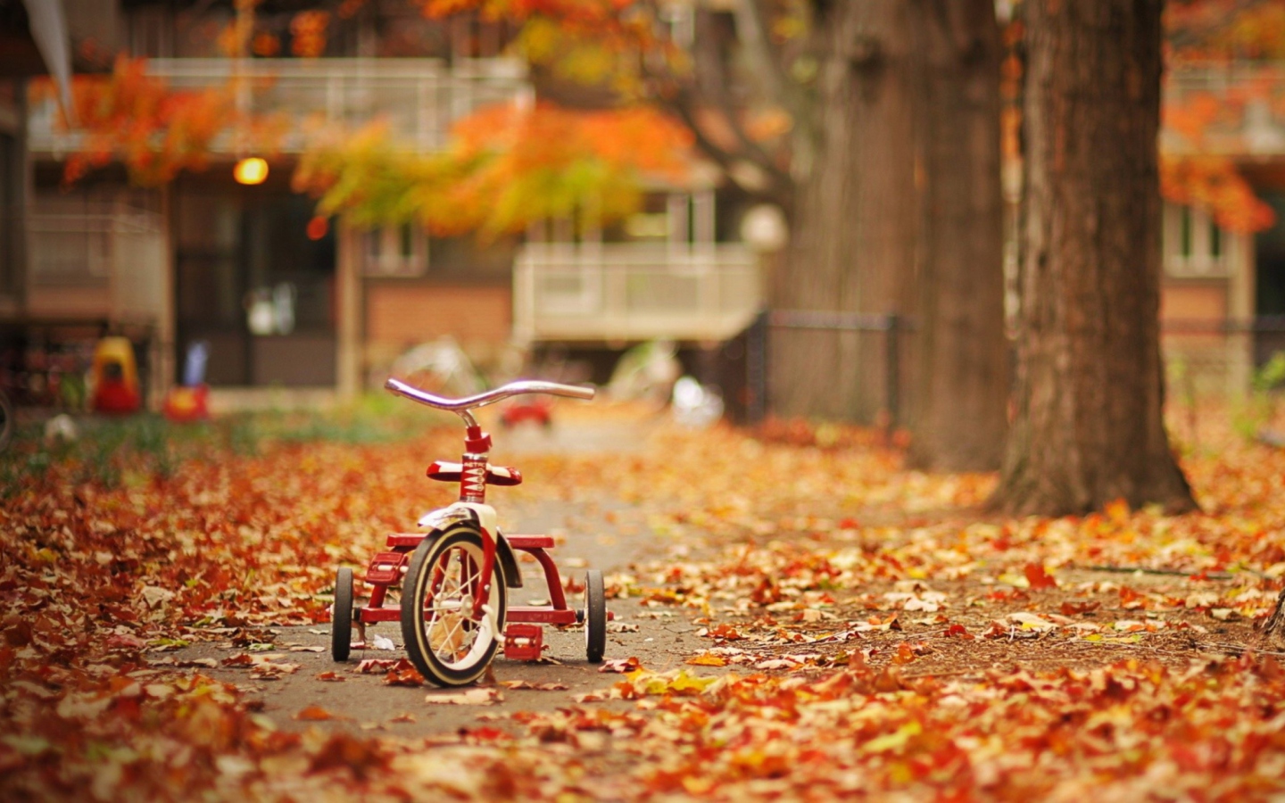 Fondo de pantalla Tricycle 1440x900