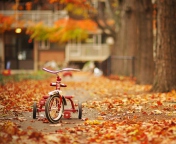 Das Tricycle Wallpaper 176x144