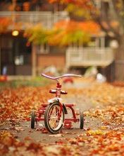 Tricycle wallpaper 176x220