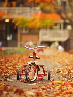 Tricycle wallpaper 240x320