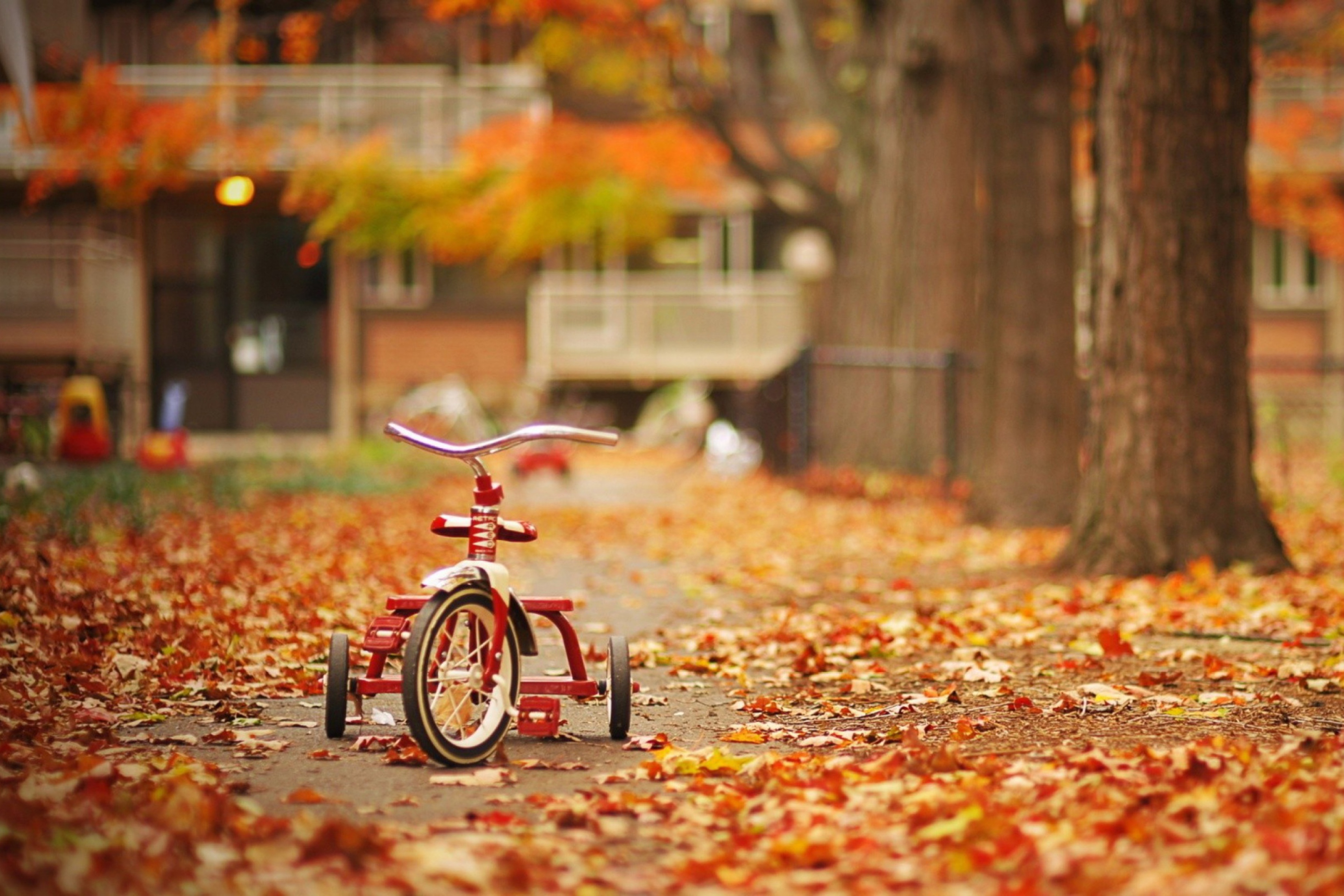 Tricycle wallpaper 2880x1920