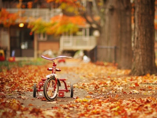 Fondo de pantalla Tricycle 320x240