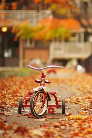 Tricycle wallpaper 320x480