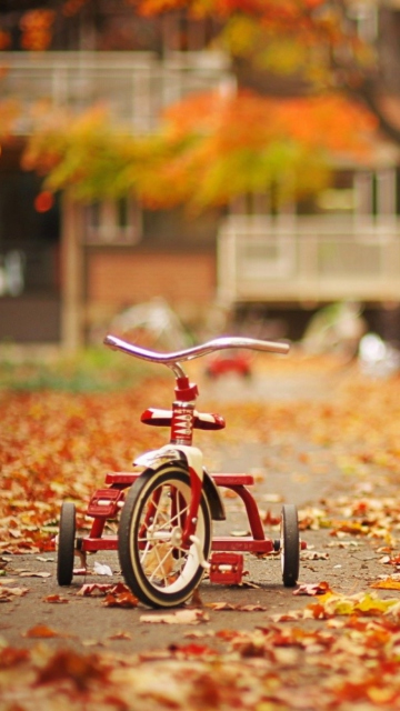 Tricycle wallpaper 360x640