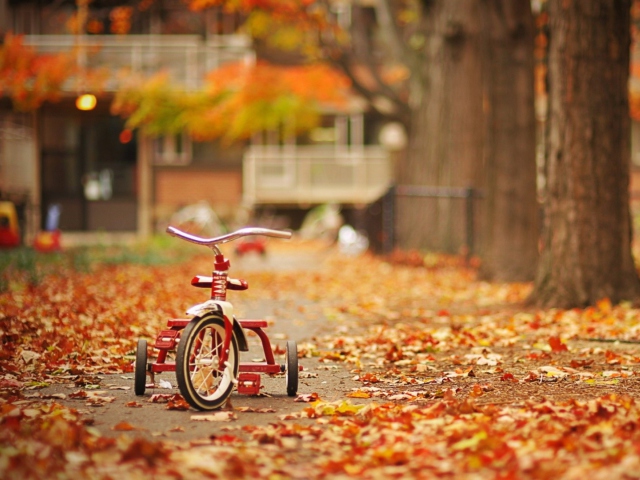 Tricycle wallpaper 640x480