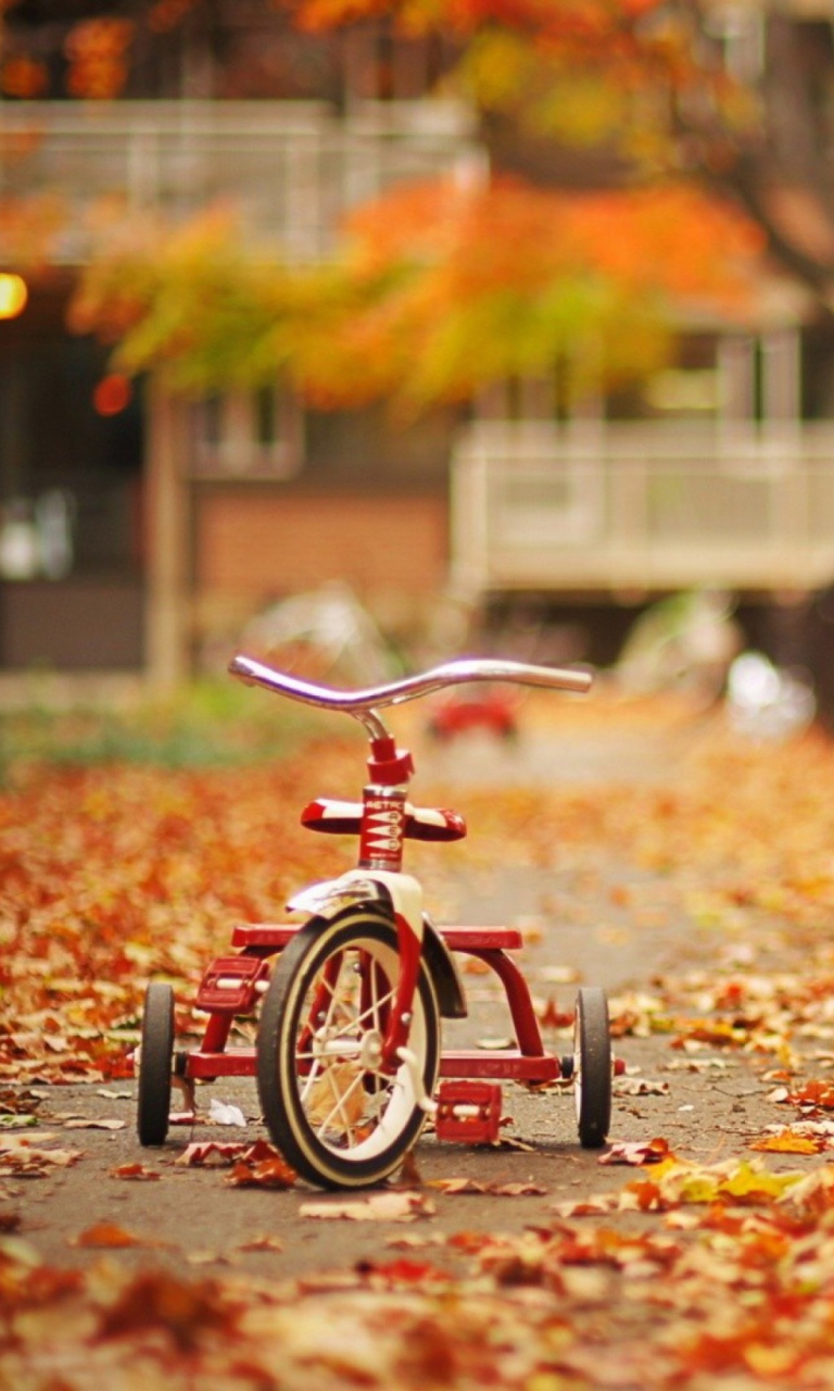 Tricycle wallpaper 768x1280