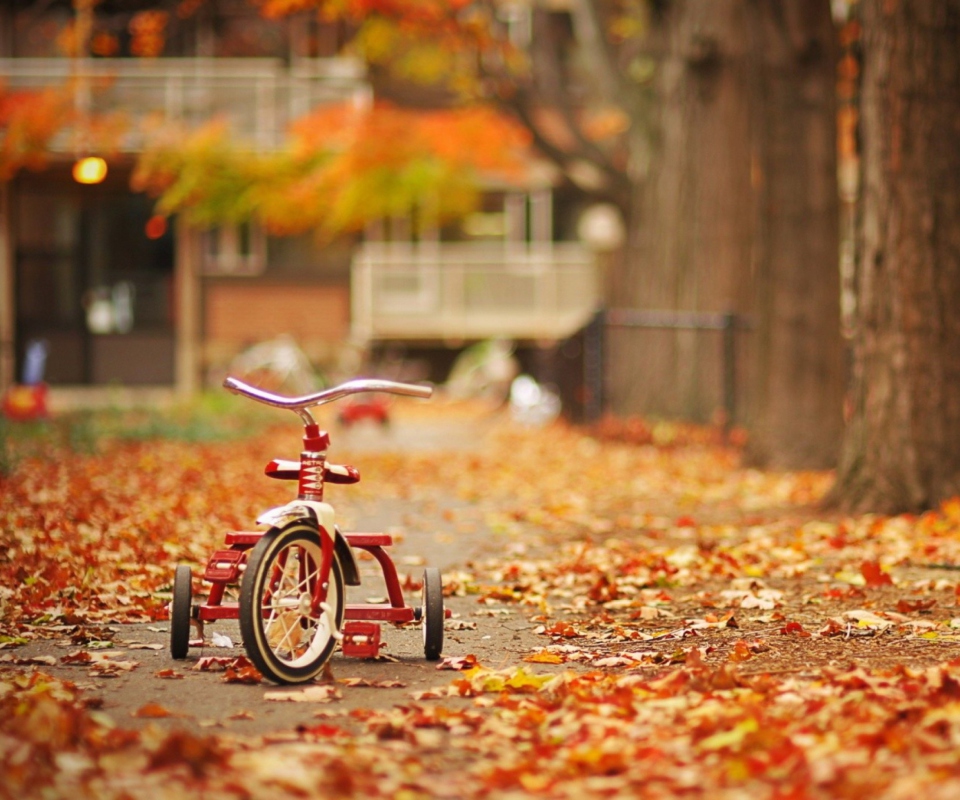 Tricycle wallpaper 960x800
