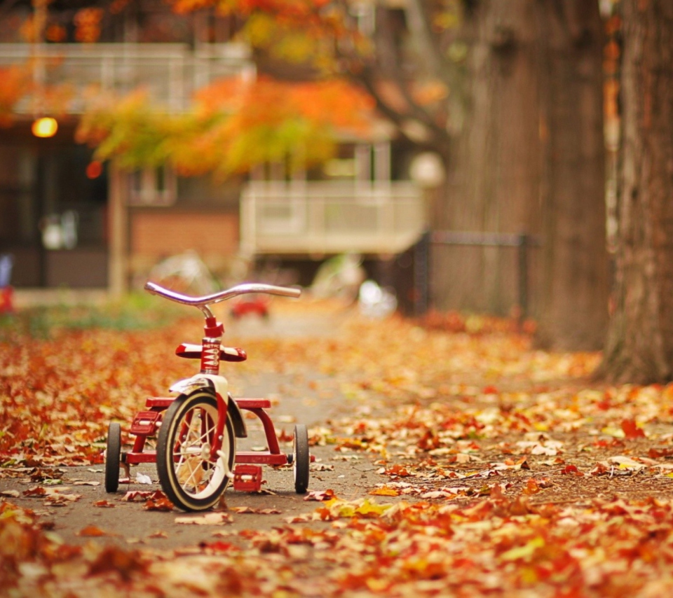 Das Tricycle Wallpaper 960x854