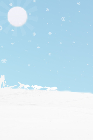 Winter White And Blue wallpaper 320x480