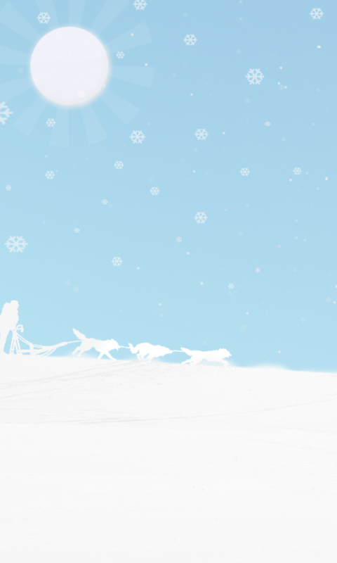 Winter White And Blue wallpaper 480x800