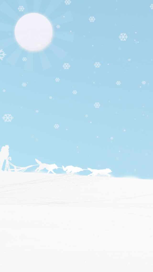 Das Winter White And Blue Wallpaper 640x1136