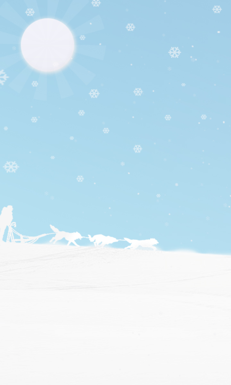 Winter White And Blue wallpaper 768x1280