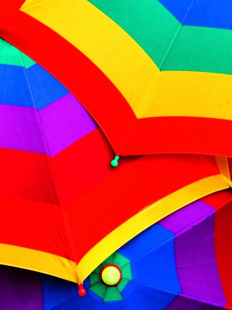 Обои Rainbow Umbrellas 480x640