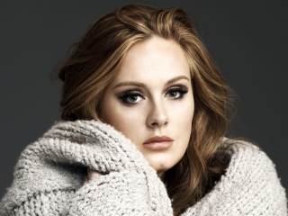 Adele screenshot #1 320x240