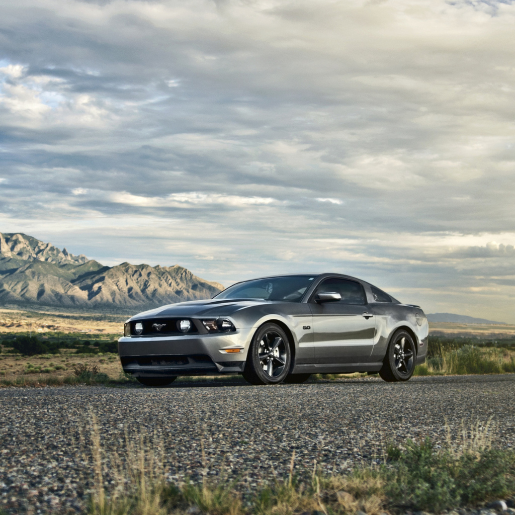 Ford Mustang 5.0 screenshot #1 1024x1024