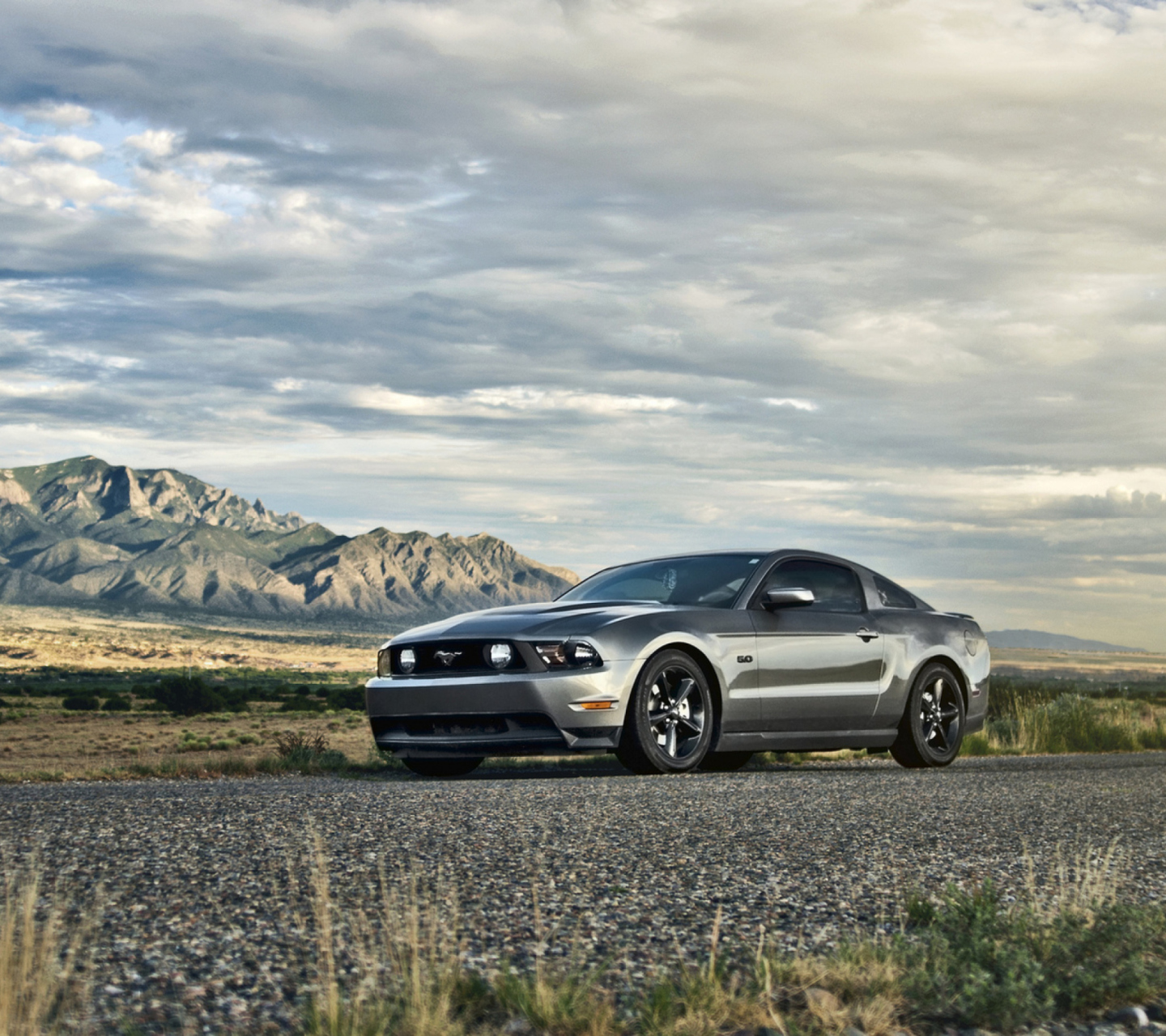 Das Ford Mustang 5.0 Wallpaper 1440x1280